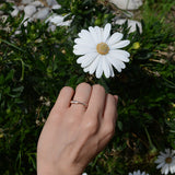 Media churumbela con cristales elaborada en oro rosa de 14k